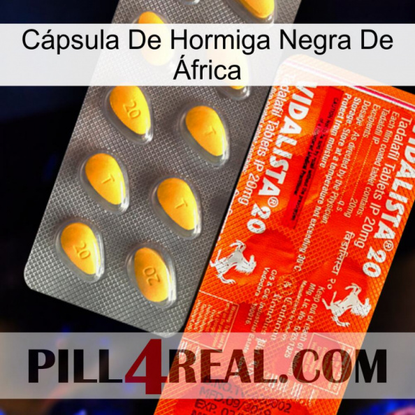 Cápsula De Hormiga Negra De África new01.jpg